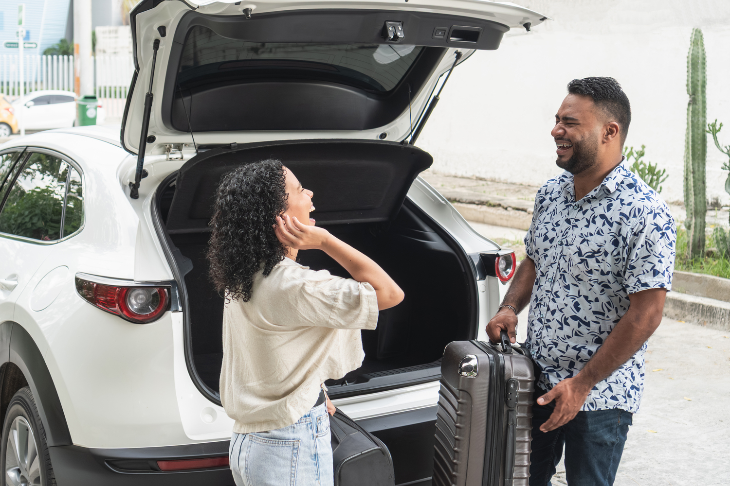 Vehicle Rental