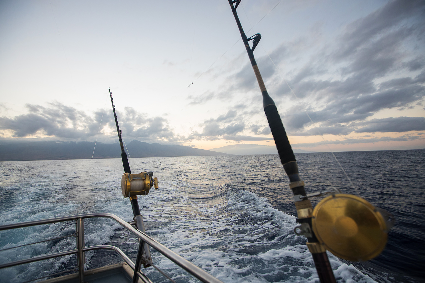 Big Game Fishing